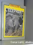 L'éléphant.