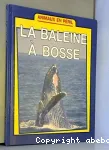 La baleine à bosse.