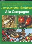 A la campagne