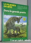 DANS LES GRANDES PRAIRIES