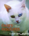 Chats insolites