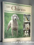 Les chiens